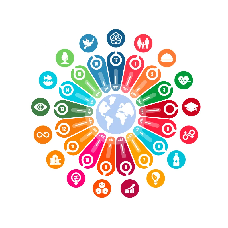 17 SDG goals